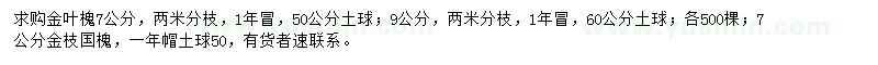 求購7、9公分金枝槐