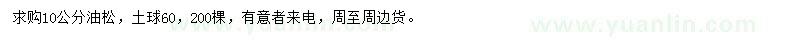 求購10公分油松