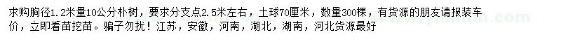 求購胸徑1.2米量10公分樸樹