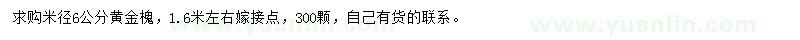 求購米徑6公分黃金槐
