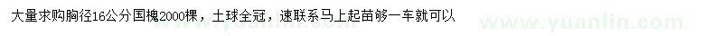 求購胸徑16公分國槐