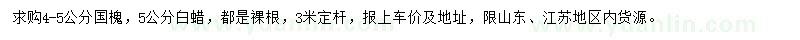 求購國槐、白蠟