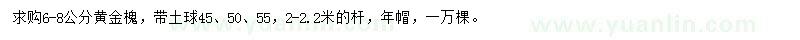 求購6-8公分黃金槐