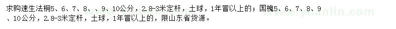 求購國(guó)槐、速生法桐