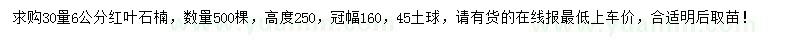 求購30量6公分紅葉石楠