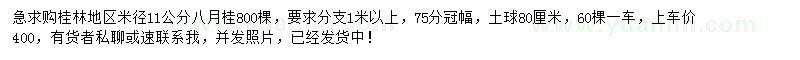 求購米徑11公分八月桂