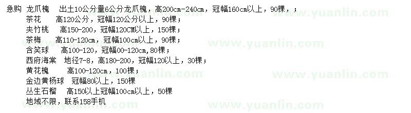 求購龍爪槐、茶花、夾竹桃等