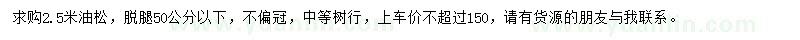 求購(gòu)2.5米油松