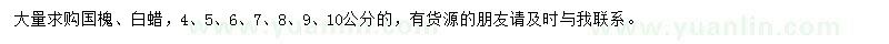 求購國槐、白蠟