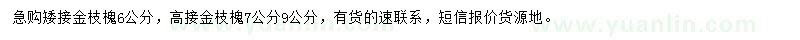 求購(gòu)矮接金枝槐、高接金枝槐