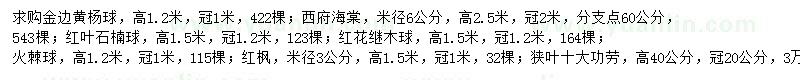 求購金邊黃楊球、西府海棠、狹葉十大功勞等