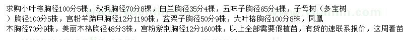求購(gòu)小葉榕、白蘭、秋楓等