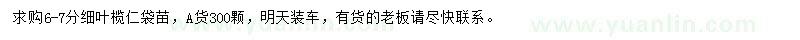 求購6-7分細(xì)葉欖仁袋苗