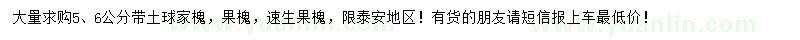 求購5、6公分家槐