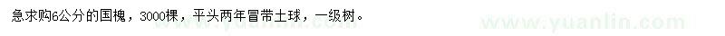 求購6公分國(guó)槐