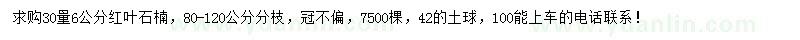 求購30量6公分紅葉石楠