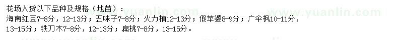 求購(gòu)海南紅豆、火力楠、假蘋(píng)婆等