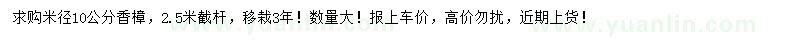 求購米徑10公分香樟