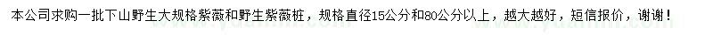 求購15、80公分以上紫薇和紫薇樁