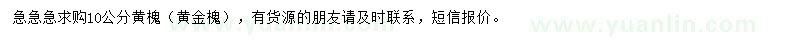 求購(gòu)10公分黃槐（黃金槐）