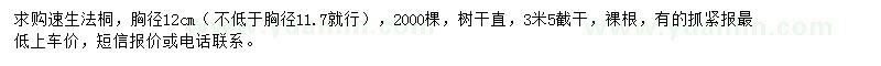 求購(gòu)胸徑12公分速生法桐