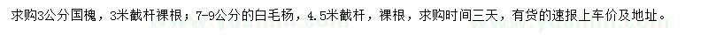 求購(gòu)3公分國(guó)槐、7-9公分白毛楊