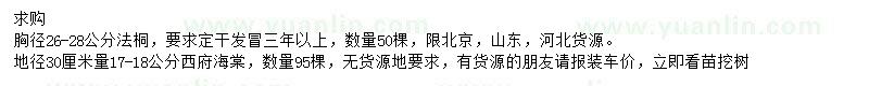 求購胸徑26-28公分法桐、地徑30公分量17-18公分西府海棠