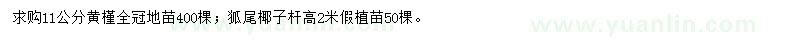 求購(gòu)11公分黃槿、高2米狐尾椰子