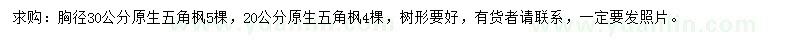 求購胸徑20、30公分五角楓
