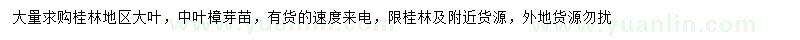 求購大葉、中葉樟芽苗