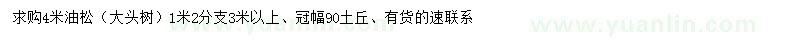 求購高4米油松