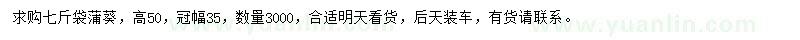 求購冠35公分蒲葵