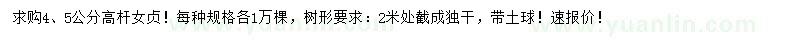 求購4、5公分高桿女貞