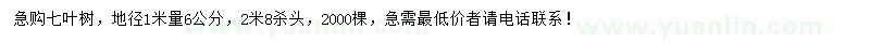 求購(gòu)地徑1米量6公分七葉樹(shù)