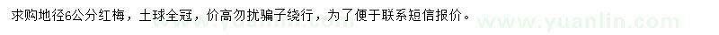 求購(gòu)地徑6公分紅梅