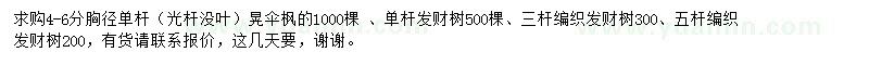 求購胸徑4-6公分單桿晃傘楓、發(fā)財樹