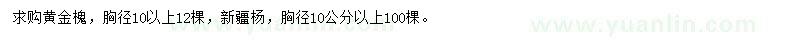求購黃金槐、新疆楊