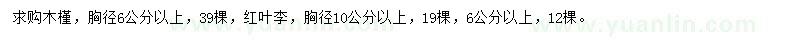 求購木槿、紅葉李