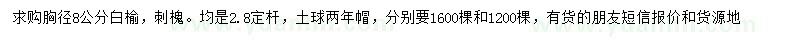 求購(gòu)胸徑8公分白榆、刺槐