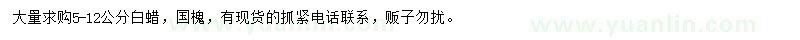求購(gòu)5-12公分白蠟、國(guó)槐