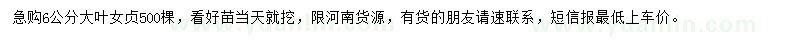 求購6公分大葉女貞