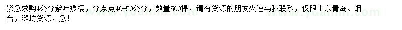 求購4公分紫葉矮櫻