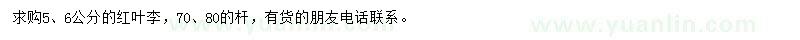 求購5、6公分紅葉李