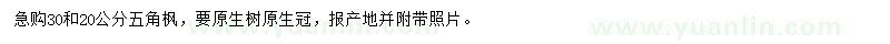 求購20、30公分五角楓