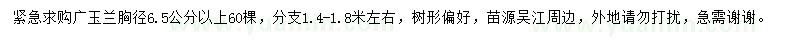 求購(gòu)6.5公分以上廣玉蘭