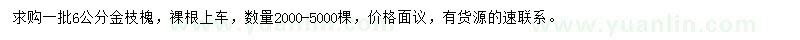 求購6公分金枝槐