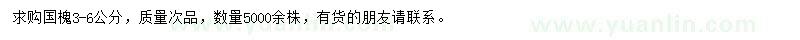 求購3-6公分國槐