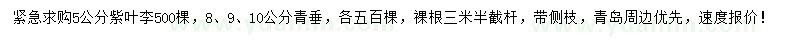 求購(gòu)5公分紫葉李、8、9、10公分青垂