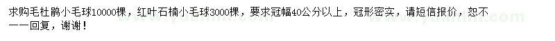 求購冠40公分以上毛杜鵑小毛球、紅葉石楠小毛球