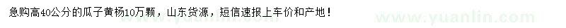 求購高40公分瓜子黃楊
